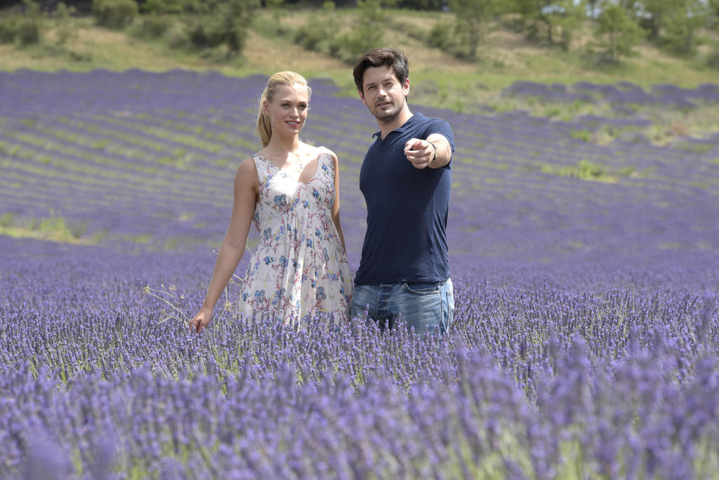  Un  estate in campagna la trama del film stasera su Rai Premium