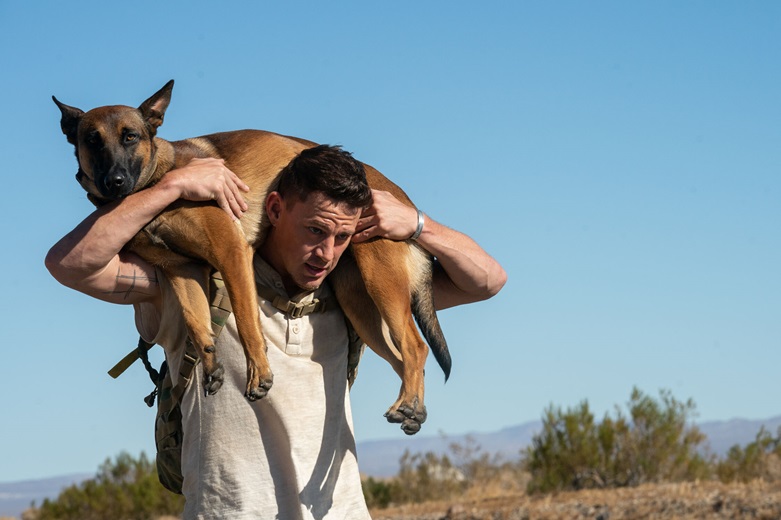 Io e Lulù, Channing Tatum e un cane al centro del film su La5